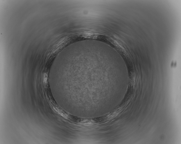 X0000089341154200706221111