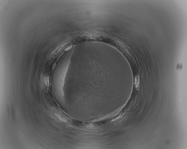 X0000089341155200706221111