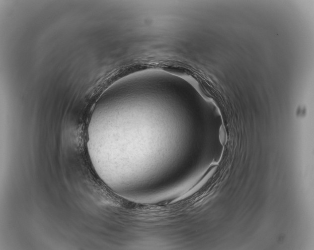 X0000089341156200706221111
