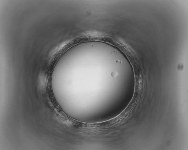 X0000089341157200706221111