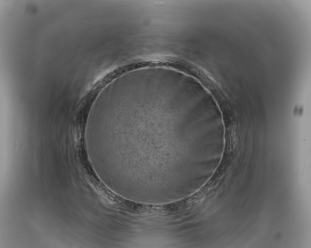 X0000089341158200706221111