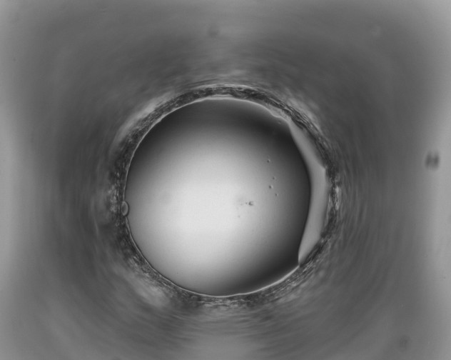 X0000089341159200706221111