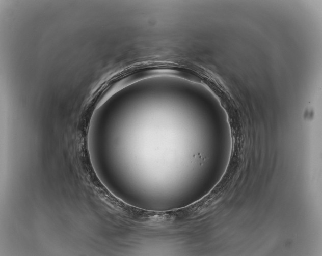 X0000089341160200706221111