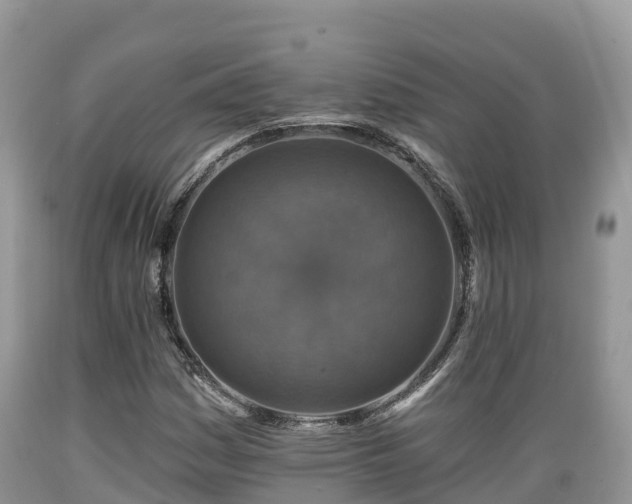 X0000089341161200706221111