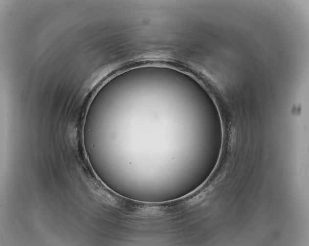 X0000089341162200706221111