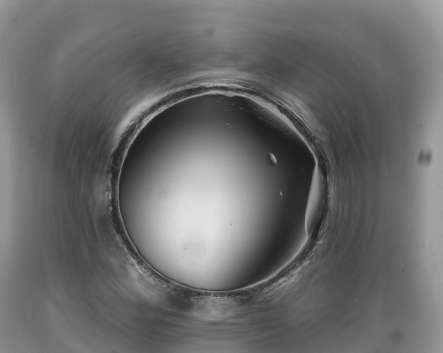 X0000089341164200706221111