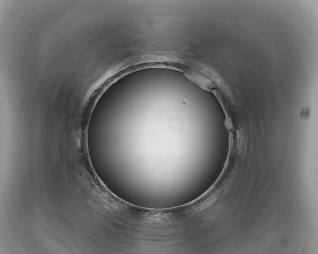 X0000089341165200706221111