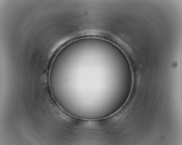 X0000089341166200706221111