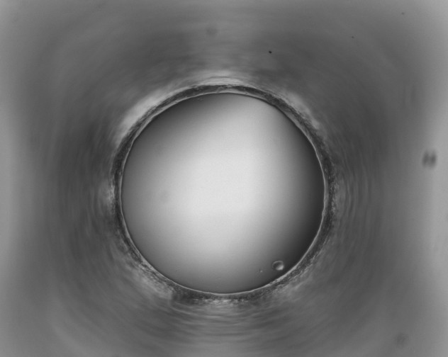 X0000089341167200706221111