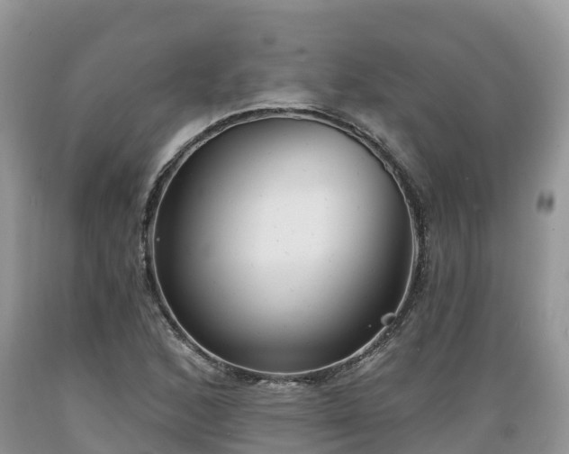 X0000089341168200706221111