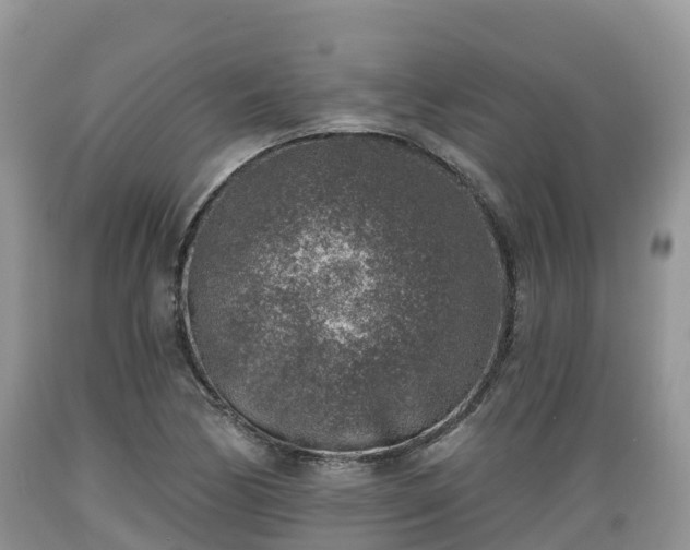 X0000089341170200706221111