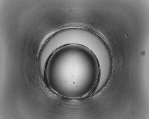 X0000089341172200706221111