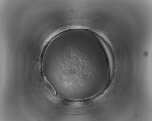 X0000089341173200706221111