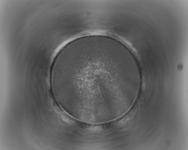 X0000089341174200706221111