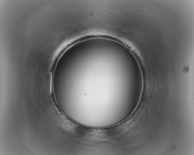 X0000089341175200706221111