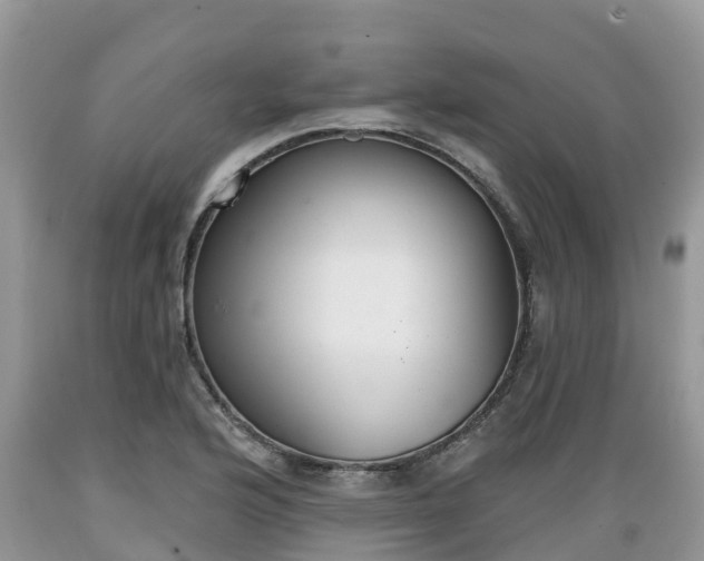 X0000089341176200706221111