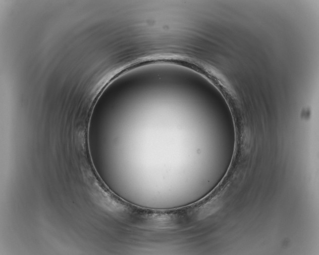 X0000089341177200706221111