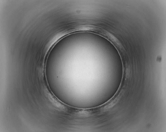 X0000089341178200706221111
