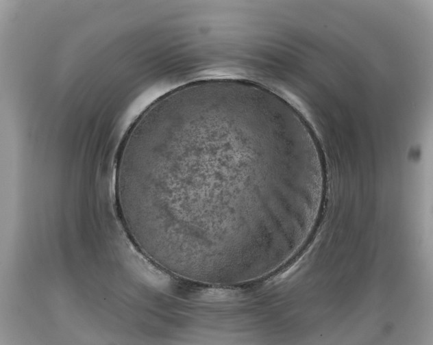 X0000089341179200706221111
