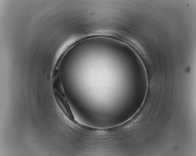 X0000089341180200706221111