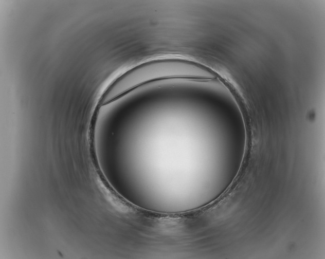 X0000089341181200706221111