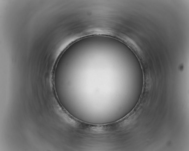 X0000089341182200706221111