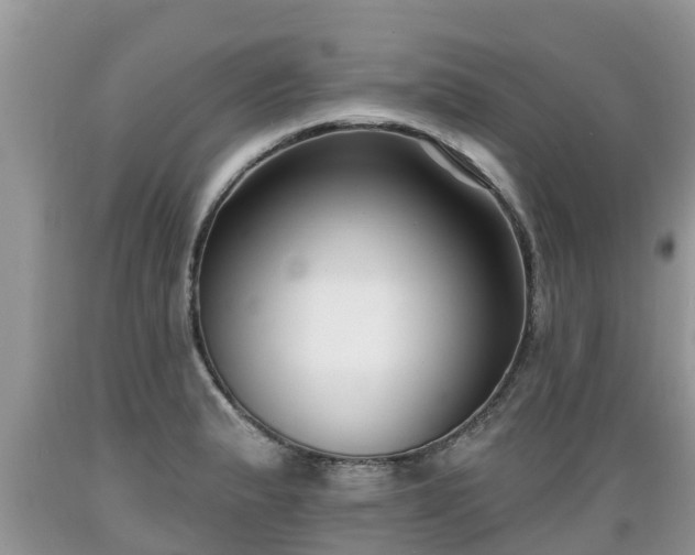 X0000089341183200706221111