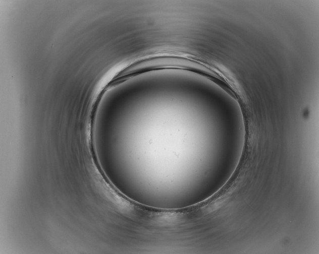 X0000089341188200706221111