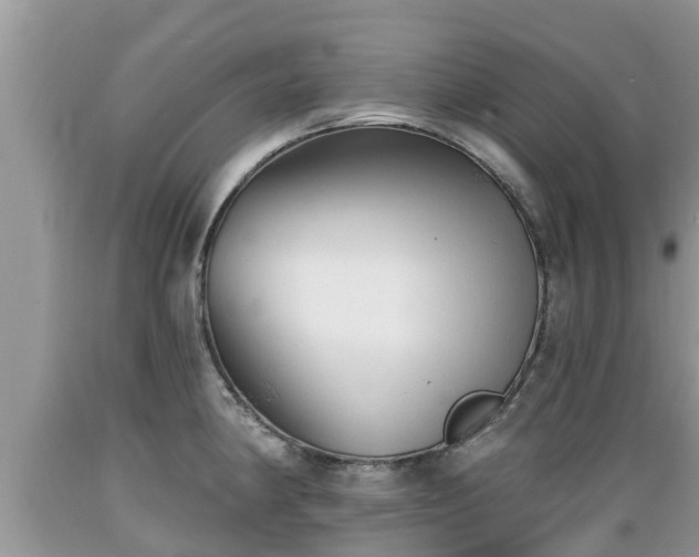 X0000089341190200706221111