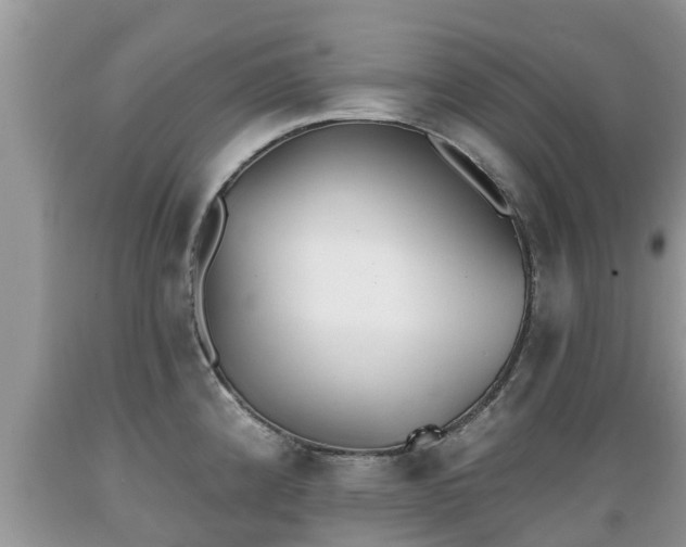 X0000089341192200706221111