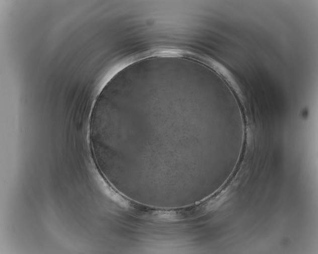 X0000089341194200706221111