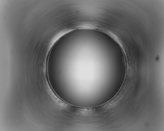 X0000089341195200706221111