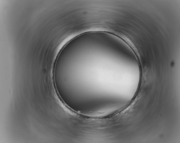 X0000089341197200706221111