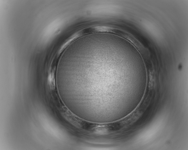 X0000089341198200706221111