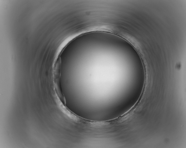 X0000089341200200706221111