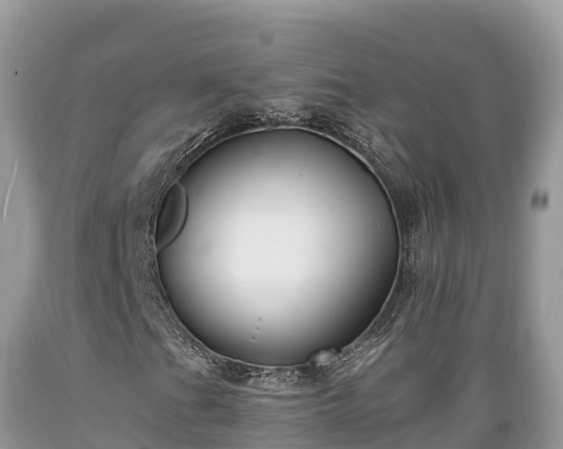 X0000089341201200706221110