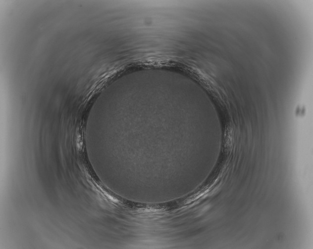 X0000089341202200706221110
