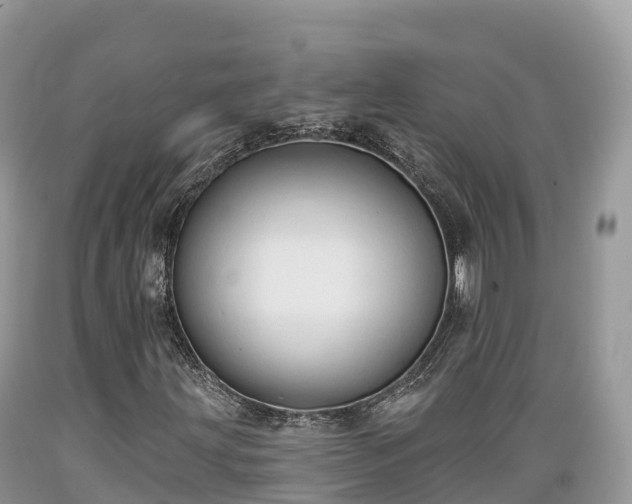 X0000089341203200706221110