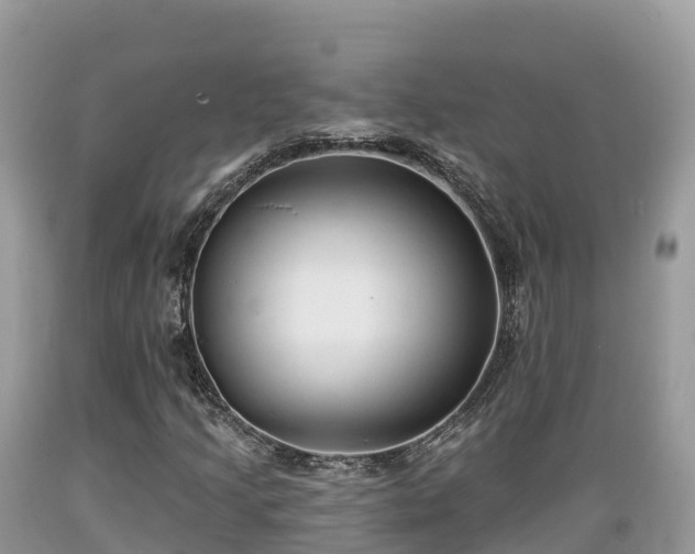 X0000089341205200706221110