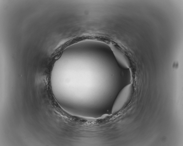 X0000089341206200706221110
