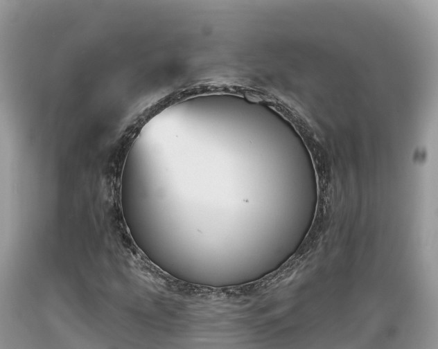 X0000089341207200706221110