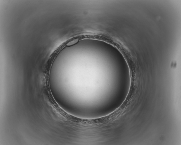 X0000089341208200706221110