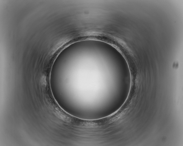 X0000089341209200706221110