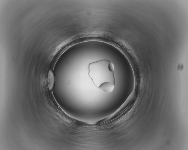 X0000089341210200706221110
