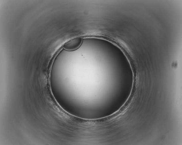X0000089341212200706221110