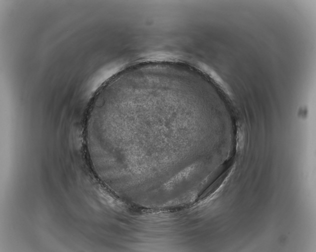 X0000089341213200706221110