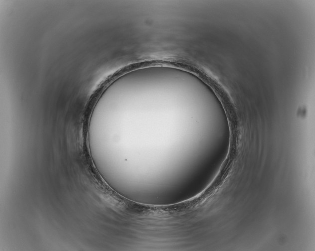X0000089341214200706221110
