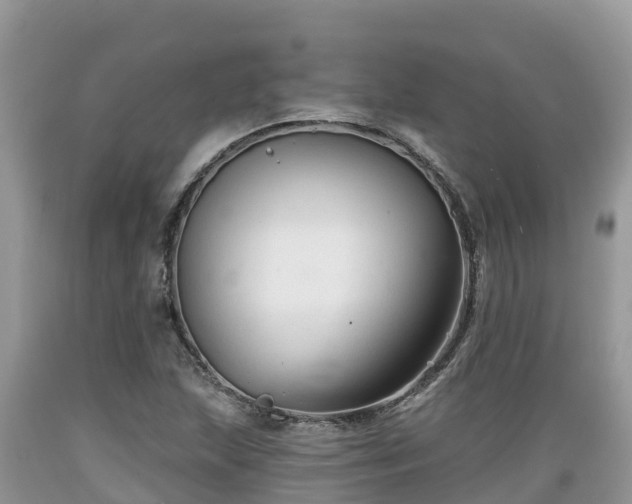 X0000089341215200706221110