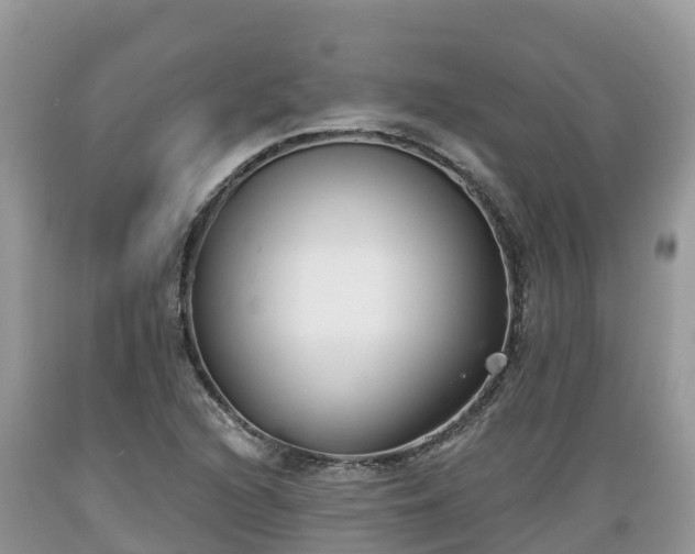 X0000089341216200706221110