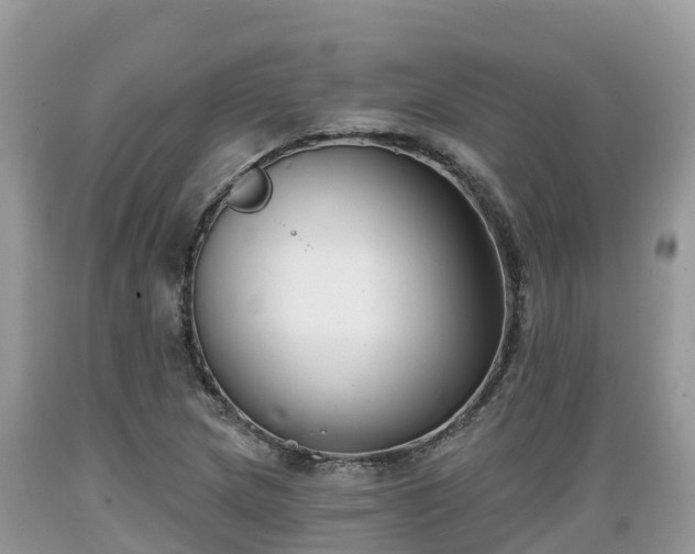 X0000089341217200706221110